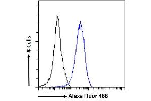 (ABIN184863) Flow cytometric analysis of paraformaldehyde fixed HeLa cells (blue line), permeabilized with 0. (RAD51AP1 Antikörper  (C-Term))