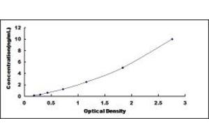 GSTO1 ELISA Kit