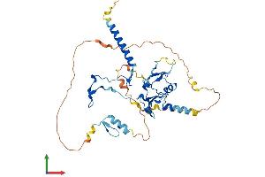Protein Structure (PS) image for D4, Zinc and Double PHD Fingers Family 1 (DPF1) (AA 1-387) protein (His tag) (ABIN7565142)
