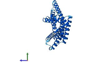Protein Structure (PS) image for 14-3-3 alpha + beta (YWHAB) (AA 1-246) protein (His tag) (ABIN7551771)