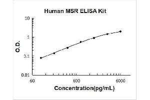 Typical Standard Curve