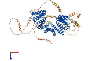 GPSM1 Protein (AA 1-675) (His tag)