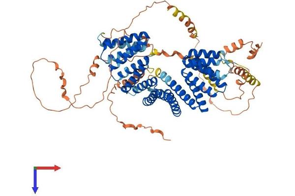 GPSM1 Protein (AA 1-675) (His tag)