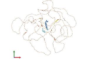 Protein Structure (PS) image for Apolipoprotein B Receptor (APOBR) (AA 1-942) protein (His tag) (ABIN7564720)