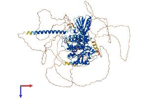 MTMR3 Protein (AA 1-1198) (His tag)