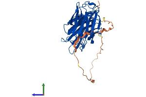 Protein Structure (PS) image for Lectin, Galactoside-Binding, Soluble, 9B (LGALS9B) (AA 1-356) protein (His tag) (ABIN7548894)