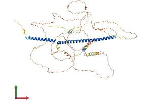 Protein Structure (PS) image for Polo-Like Kinase 1 Substrate 1 (PLK1S1) (AA 1-673) protein (His tag) (ABIN7548741)