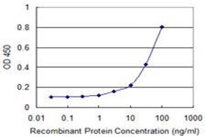 Detection limit for recombinant GST tagged PAIP1 is 1 ng/ml as a capture antibody. (PAIP1 Antikörper  (AA 76-185))