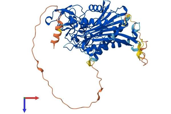 PPM1J Protein (AA 1-507) (His tag)