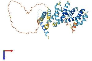 MEI4 Protein (AA 1-389) (His tag)