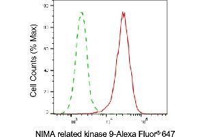 Flow cytometric analysis of NIMA related kinase 9 expression in HeLa cells using NIMA related kinase 9 antibody (ABIN7799601), 1:2,000). (NEK9 Antikörper)