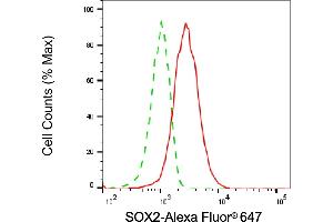 Flow cytometric analysis of SOX2 expression in HAP-1 cells using SOX2 antibody (ABIN7800431), 1:2,000). (SOX2 Antikörper)