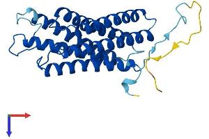 AlphaFold protein structure predicition of Human Recombinant DRAM2 Protein, UniprotID Q6UX65