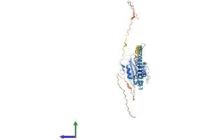 Protein Structure (PS) image for Phosphate Cytidylyltransferase 1, Choline, beta (PCYT1B) (AA 1-369) protein (His tag) (ABIN7550584)