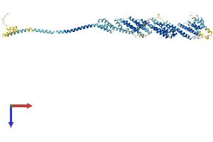 EXOC6 Protein (AA 1-802) (His tag)