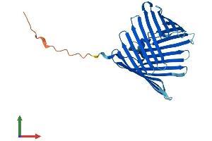 AlphaFold protein structure predicition of Mouse Recombinant Tomm40l Protein, UniprotID Q9CZR3