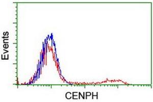 HEK293T cells transfected with either RC204531 overexpress plasmid (Red) or empty vector control plasmid (Blue) were immunostained by anti-CENPH antibody (ABIN2455280), and then analyzed by flow cytometry. (CENPH Antikörper)