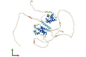 AlphaFold protein structure predicition of Human Recombinant NAB2 Protein, UniprotID Q15742