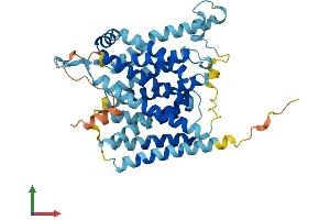 Protein Structure (PS) image for Solute Carrier Family 35, Member B2 (SLC35B2) (AA 1-431) protein (His tag) (ABIN7560153)