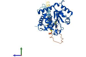 Protein Structure (PS) image for alpha-N-Acetylgalactosaminide alpha-2,6-Sialyltransferase 3 (SIA7C) (AA 1-305) protein (His tag) (ABIN7546123)