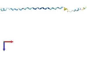 SPRR2E Protein (AA 1-72) (Fc Tag)