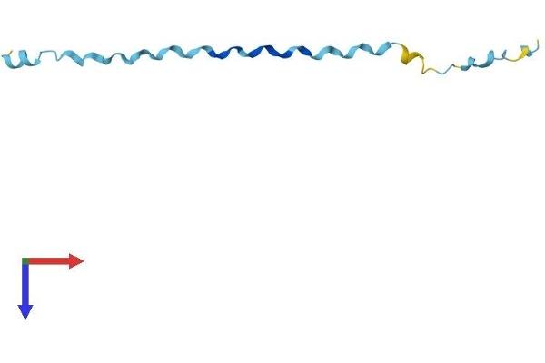 SPRR2E Protein (AA 1-72) (Fc Tag)