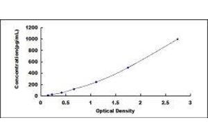 ELISA image for TNF Receptor-Associated Factor 3 (TRAF3) ELISA Kit (ABIN422378)