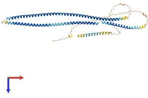 INA Protein (AA 1-499) (His tag)