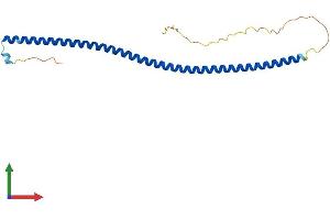 Protein Structure (PS) image for Coiled-Coil Domain Containing 85B (CCDC85B) (AA 1-202) protein (His tag) (ABIN7553145)