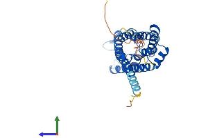 Protein Structure (PS) image for Aquaporin 6, Kidney Specific (AQP6) (AA 1-282) protein (His tag) (ABIN7552171)