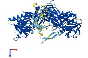 PRMT7 Protein (AA 1-692) (His tag)