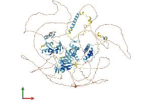 Protein Structure (PS) image for Activity-Dependent Neuroprotector Homeobox (ADNP) (AA 1-1108) protein (His tag) (ABIN7565265)