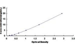 Typical standard curve (B4GALNT2 ELISA Kit)