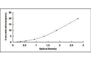 Typical standard curve (CACNA1E ELISA Kit)