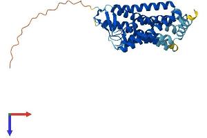 Olfactory Receptor, Family 4, Subfamily C, Member 5 (OR4C5) (AA 1-326) protein (His tag)