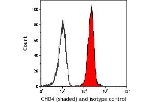 Flow Cytometry (FACS) image for anti-Chromodomain Helicase DNA Binding Protein 4 (CHD4) (AA 50-100) antibody (ABIN7795622) (Rekombinanter CHD4 Antikörper  (AA 50-100))