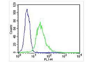 Overlay histogram showing Hela cells stained with (ABIN6243771 and ABIN6577109) (green line). (EEF1E1 Antikörper)