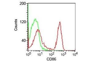 Flow cytometry testing of human PBMC using CD86 antibody (clone CDLA86). (CD86 Antikörper)