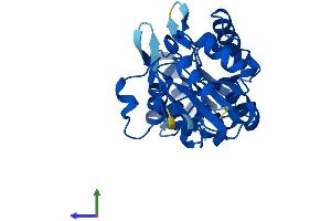 Protein Structure (PS) image for Phospholysine Phosphohistidine Inorganic Pyrophosphate Phosphatase (LHPP) (AA 1-270) protein (His tag) (ABIN7561086)
