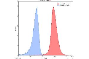 Detection of CD45 in mouse spleen cell using Polyclonal Antibody to Protein Tyrosine Phosphatase Receptor Type C (CD45) (CD45 Antikörper  (AA 371-556))