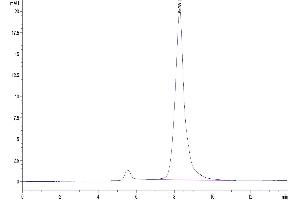 The purity of Mouse BAMBI is greater than 95 % as determined by SEC-HPLC. (BAMBI Protein (AA 27-152) (Fc Tag))