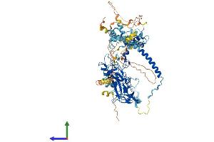 Protein Structure (PS) image for Enhancer of Zeste Homolog 1 (EZH1) (AA 1-747) protein (His tag) (ABIN7563525)
