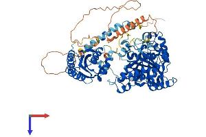 TYW1 Protein (AA 1-732) (His tag)