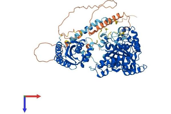 TYW1 Protein (AA 1-732) (His tag)