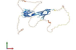 Protein Structure (PS) image for Immunoglobulin Superfamily Member 5 (IGSF5) (AA 1-407) protein (His tag) (ABIN7548495)