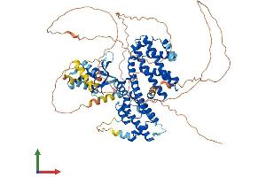 Protein Structure (PS) image for Regulatory Factor X 3 (RFX3) (AA 1-749) protein (His tag) (ABIN7563313)