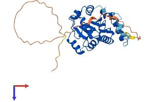 CMSS1 Protein (AA 1-279) (His tag)