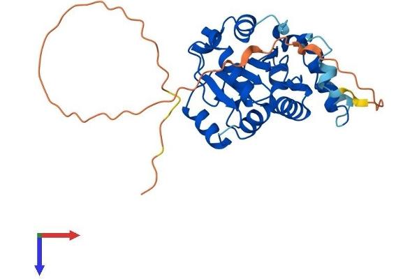 CMSS1 Protein (AA 1-279) (His tag)