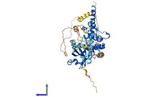 AlphaFold protein structure predicition of Mouse Recombinant Stk4 Protein, UniprotID Q9JI11