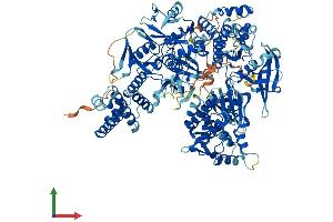 Protein Structure (PS) image for Janus Kinase 3 (JAK3) (AA 1-1100) protein (His tag) (ABIN7563946)